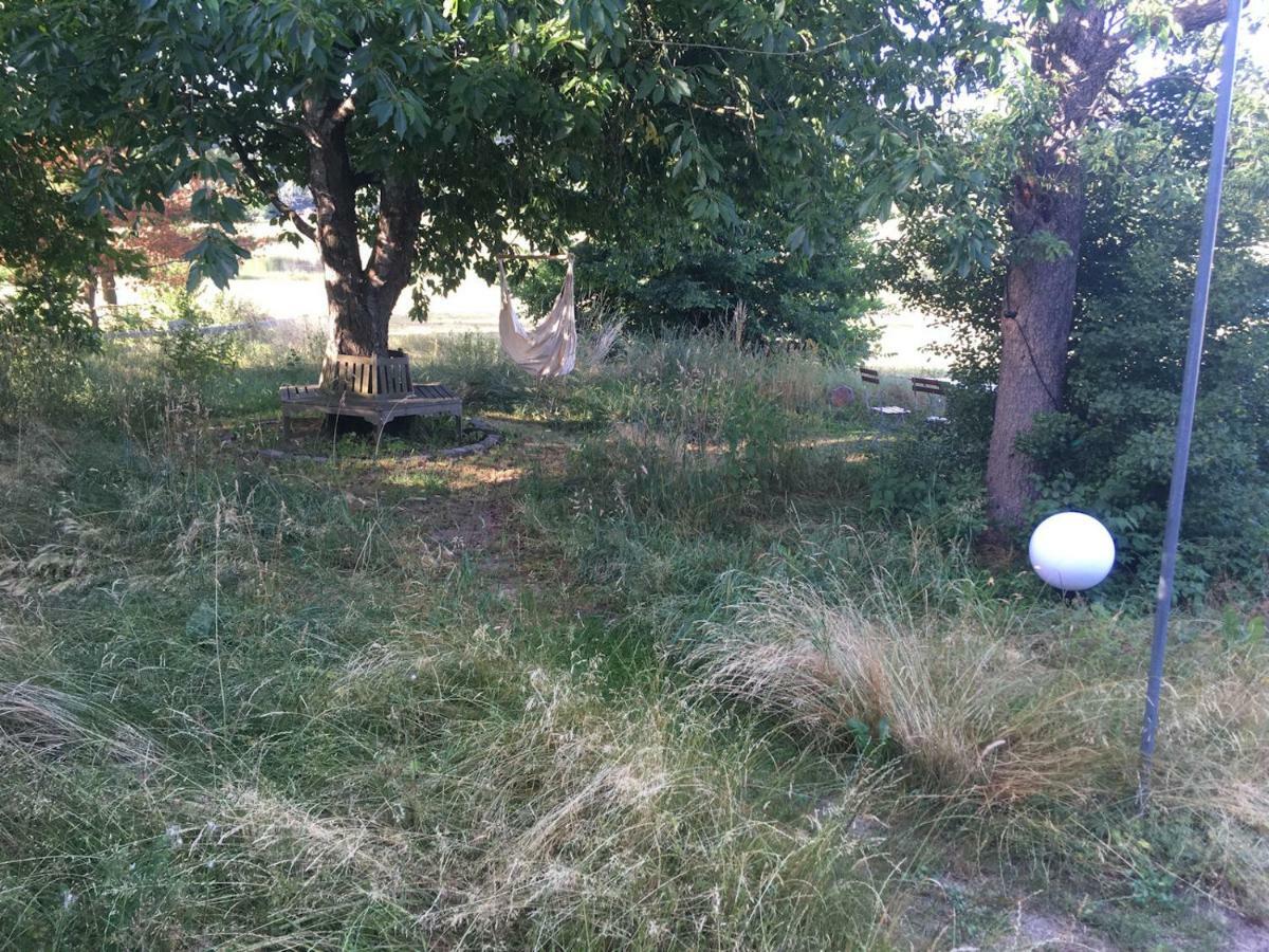 Pension Elbkiosk Kleinzadel Bagian luar foto